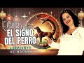 SIGNO Del PERRO Horóscopo Chino AÑO 2025 AÑO DE LA SERPIENTE DE MADERA SIGNO Del PERRO Horóscopo Chino AÑO 2025 AÑO DE LA SERPIENTE DE MADERA