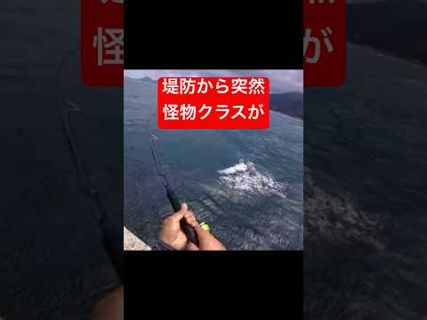 漁港で釣りしてたら突然怪物級の魚が食ってきた。