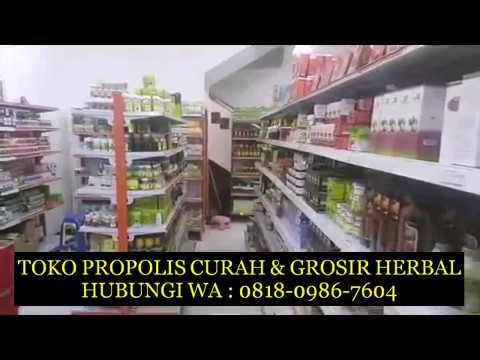 harga-distributor-propolis-brazilian-curah-high-desert-di-bandung-wa-081809867604