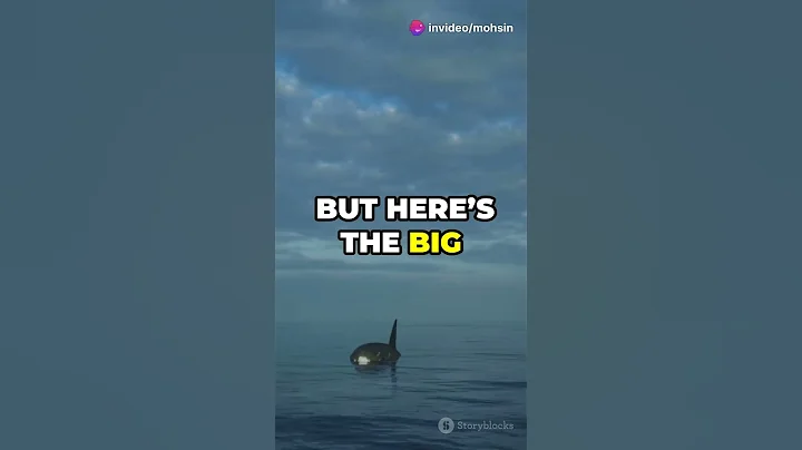 Why did the Megalodon Shark become Extinct? | Is the Megalodon Shark Still Alive Today? #shorts