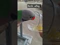 Dạn lắm! #parrot