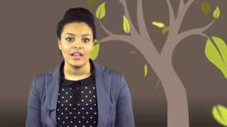 24 Plus Advanced Learning Loans