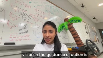 Frameless 2025:  Binocular Vision in Action