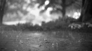 Raindrops Of My Soul