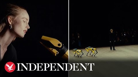 Boston Dynamics robots and Paris Fashion Week models share runway