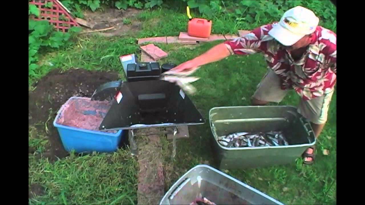 Making Chum with a Wood Chipper! Gross and Funny - YouTube