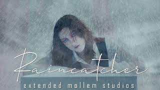 Video thumbnail of "Birdy - Raincatcher (Extended Mollem Studios Version)"