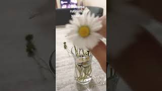 Sık Sak Şok Sık Sak Sok