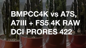 BMPCC4K vs A7S, A7III, & FS5 4K DCI RAW