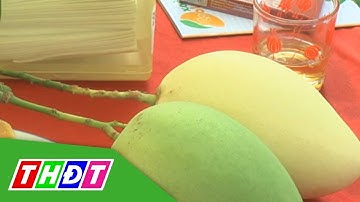 Minh Tâm Hội quán chia sẻ cách thực hiện "Cây xoài nhà tôi" | THDT