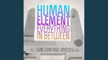Everything in Between Sun Control Species Remix