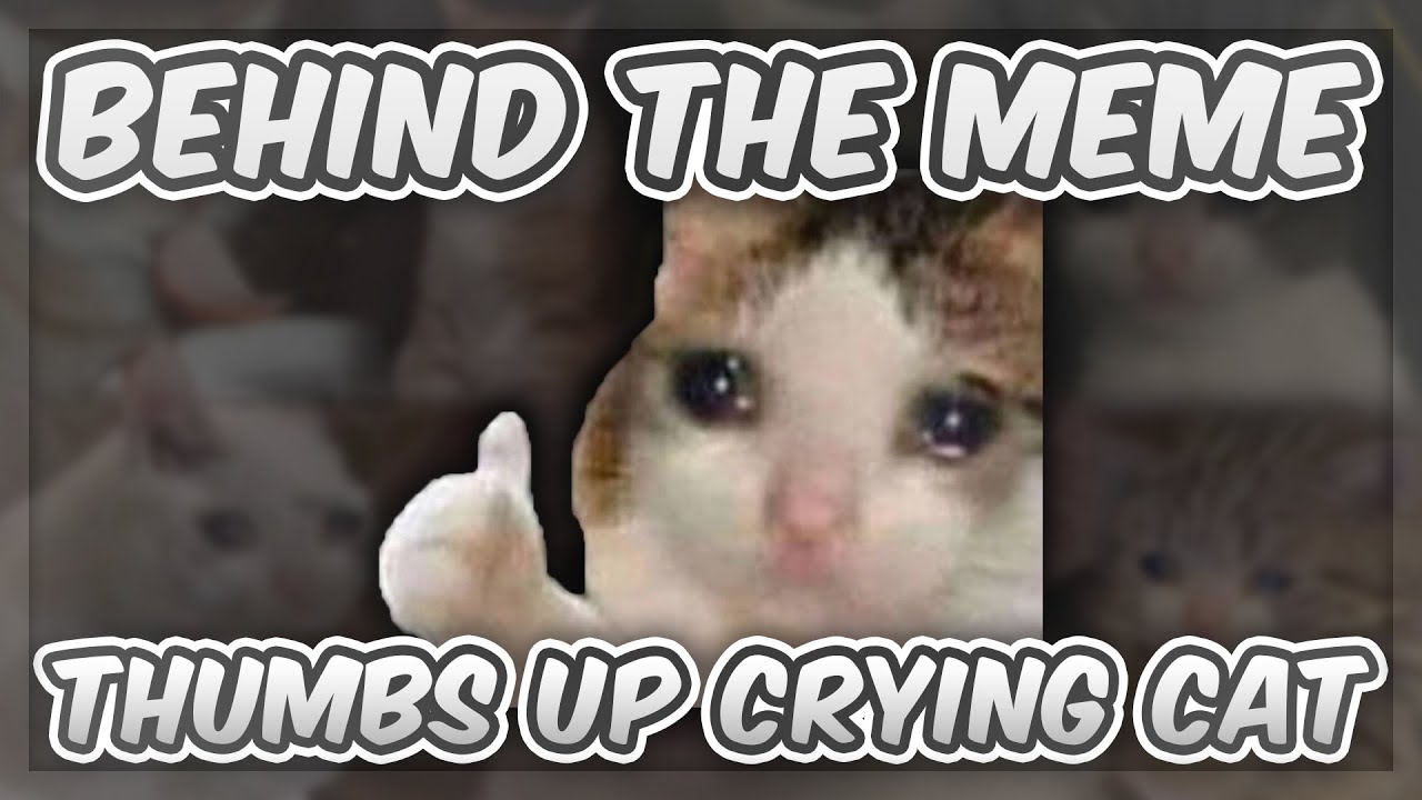 crying cat meme, thumbs up crying cat, thumbs up crying ...