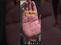 Fate line to Saturn mount #palmistry @palmist Bhardwaj