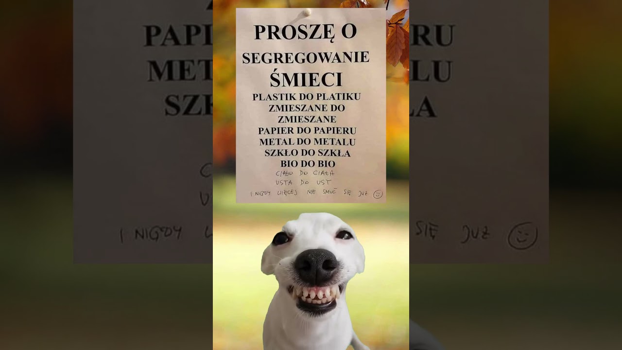 #shorts #memy #funny #śmieszne #humor #polska #viralvideo #fypシ