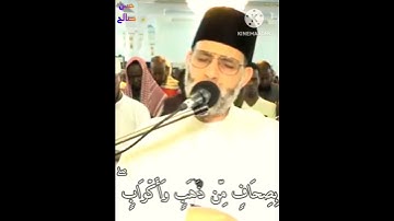 تلاوة خاشعة من سورة الزخرف للشيخ حسن صالح ❤🥺 #حسن_صالح