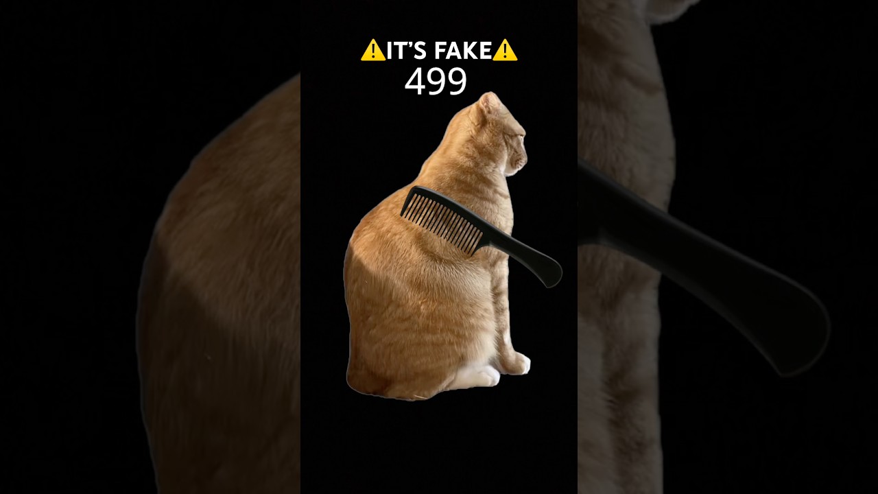 ⚠️FAKE⚠️