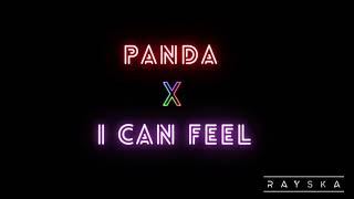 Rayska - Panda X I Can Feel | THALI