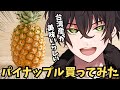 【食レポ】台湾のパイナップルは芯まで食べれて甘いってホンマでっか???【個人勢男性Vtuber】