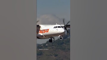 ATR 42-400 Short Final | LANDING in Merida Venezuela