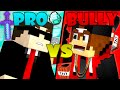 Bully vs. Pro - Minecraft