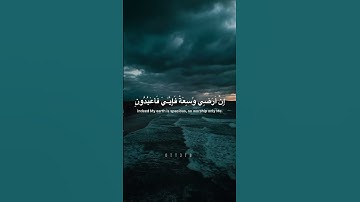 سورة العنكبوت بتلاوة القارئ محمد ديبيروف - Surah Ankabut by Muhammad Dibirov 56-57