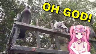 Connors Tour Guide Forces ironMouse To Face Her Fears