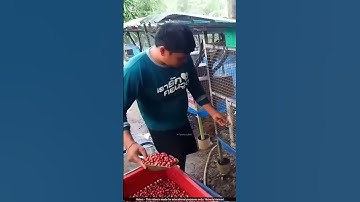 How Chinese Makes the World