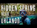 Rock Springs Run - Exploring Secluded Spring Near Orlando