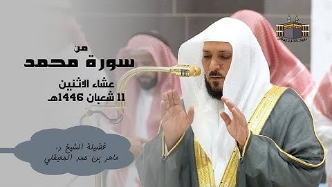تلاوة مؤثرة | لفضيلة الشيخ د. ماهر المعيقلي بالصبا الحزين الشهير من سورة محمد - عشاء ١١-٨-١٤٤٦هـ