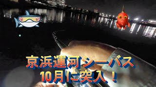 京浜運河のシーバス狙い／10月に突入