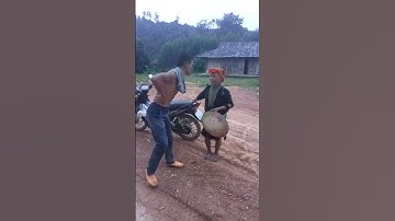 hài người dao bắc sơn. lạng Sơn 🤣🤣🤣🤣