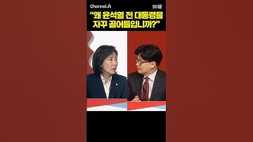 "왜 윤석열 전 대통령을 자꾸 끌어들입니까?" / #채널A #shorts #30짤