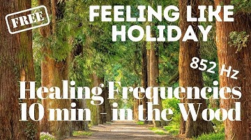 10 min 852 Hz Healing Frequencies - Awaken Intuition & Remove Fear, Subconscious Fears & Self Doubt