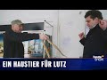 Haustierboom durch Corona: Lutz van der Horst will einen Hundewelpen | heute-show vom 30.04.2021