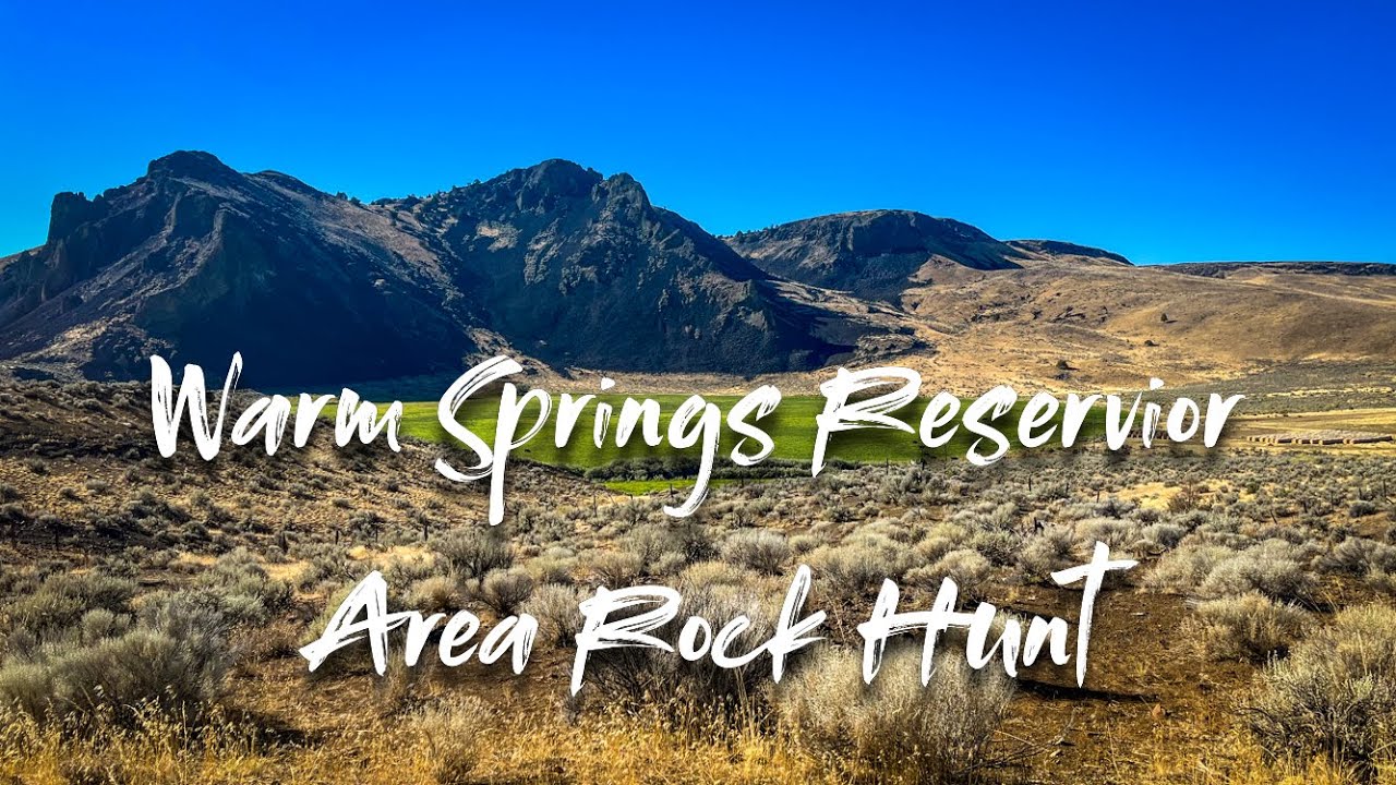 Warm Springs Reservoir Hunt