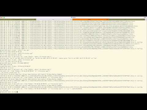 How to review your SSH Session Log