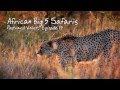 Grands 5 safaris africains pv015