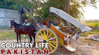 Country Life Vlog On Horse Cart Village Life In Pakistan