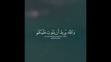 قرآن كريم بصوت القارئ مؤيد المزين تلاوة مؤثر ارح قلبك 💚🌿حالة واتس إسلامية /استوري انستغرام