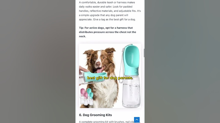 Your furry friend would love us!