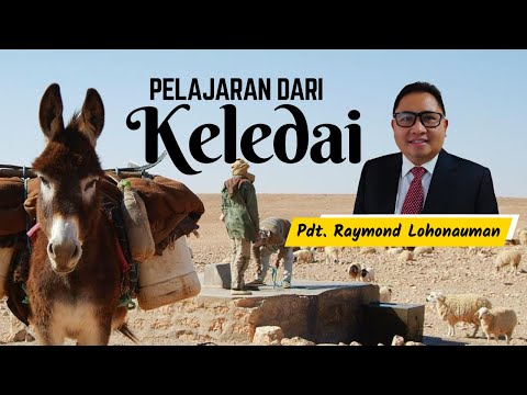 Video: 12 Hal Menarik yang Tidak Pernah Anda Ketahui Tentang Keledai