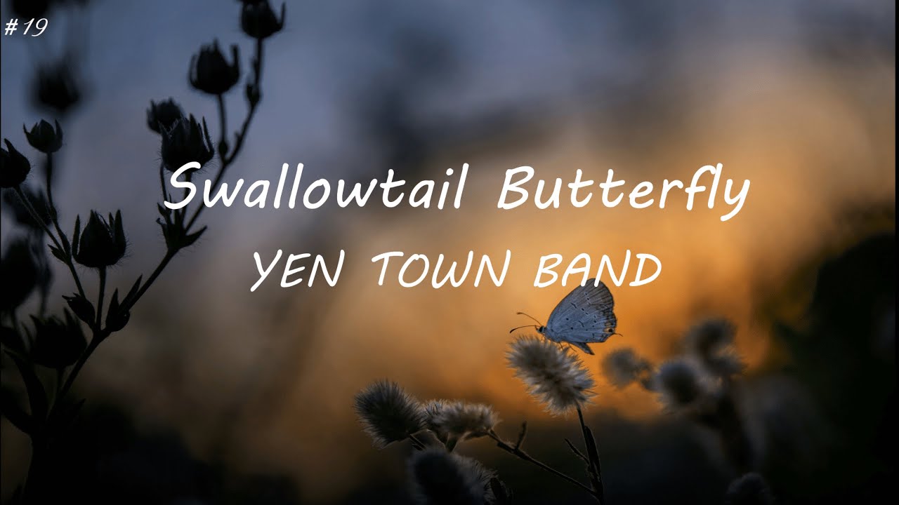 【弾き語り】Swallowtail Butterfly 〜あいのうた〜(Cover) YouTube