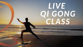 20-Minute Live Qi Gong Class with Lee Holden
