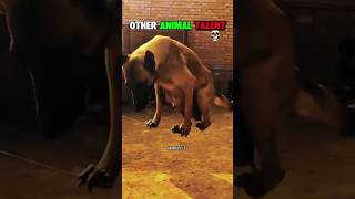 The Last One 🥶 #shorts #animals #trendingshorts #foryou