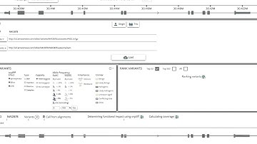 gene.iobio Use Case: real-time variant calling