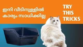 Litter Training For Cats Malayalam | ബോക്സിൽ അപ്പിയിടാൻ പഠിപ്പിക്കാം | Poop Training malayalam