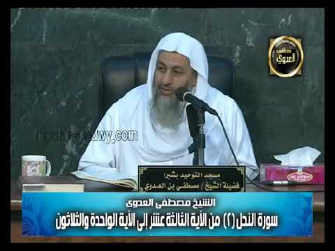 و أ ل ق ى ف ي ال أ ر ض ر و اس ي أ ن ت م يد ب ك م و أ ن ه ار ا و س ب ل ا ل ع ل ك م ت ه تد ون