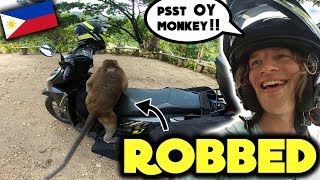 MONKEYS STOLE MY MONEY !! .. (Funny what they did with it)
