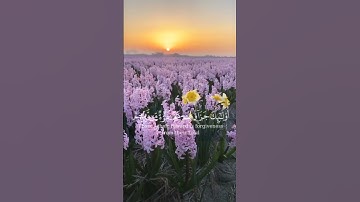 سورة آل عمران الآية (135) القارئ إسلام صبحي #قرآن
