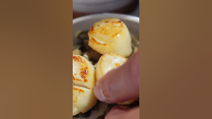 Cassolette Noix de Saint Jacques